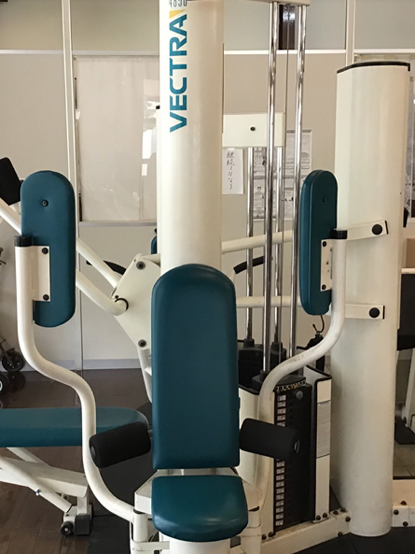 ラットプルダウンの画像