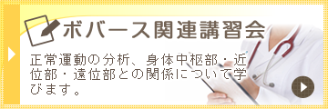 ボバース関連講習会バナー